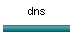 Préchargement DNS
