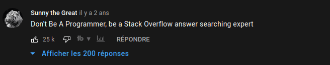 Développeur et Stack Overflow