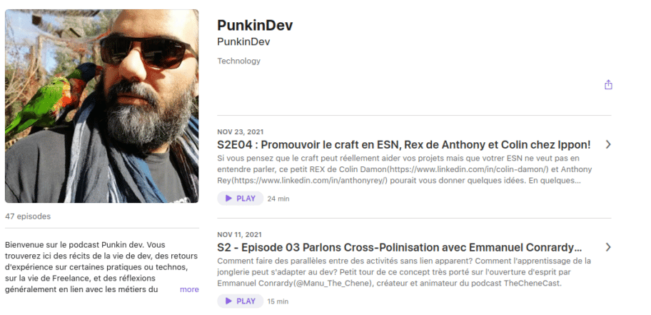 Podcast PunkinDev